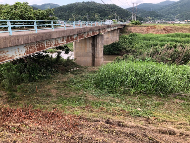 氾濫水位ライン塗装工事