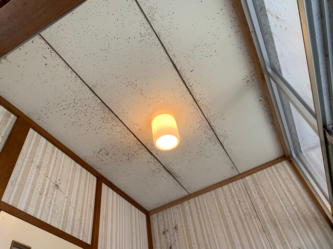 市営住宅内部修繕工事